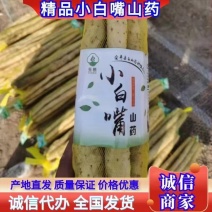 小白嘴白山药产地直供，全国发货，供应各大电商团购超市酒店