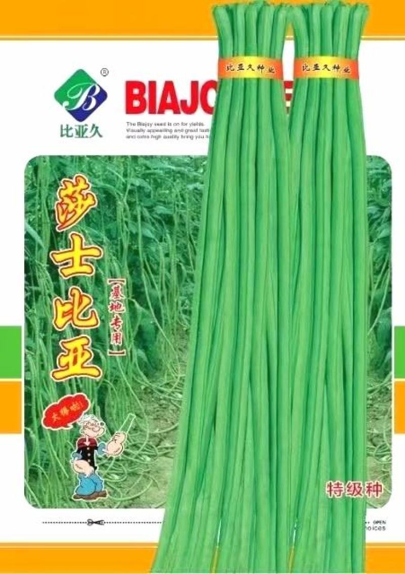 豇豆种子莎士比亚翠绿色长条85＿90厘米，顺直无鼠尾