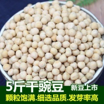 白豌豆新货农家自产干豌豆发豆芽煮粥重庆小面配料晒干豆类