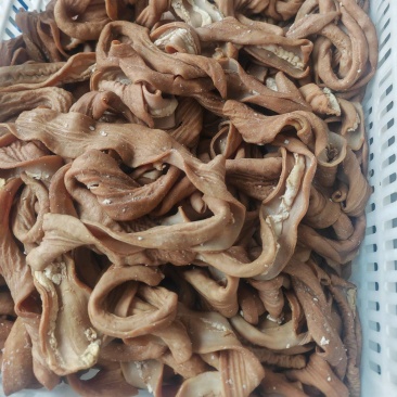 【熟牛肠】五香卤牛小肠全熟纯干无油