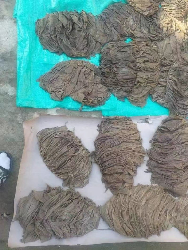 牛百叶大量现货价格优惠量大从优欢迎电话联系