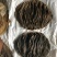 牛百叶大量现货价格优惠量大从优欢迎电话联系