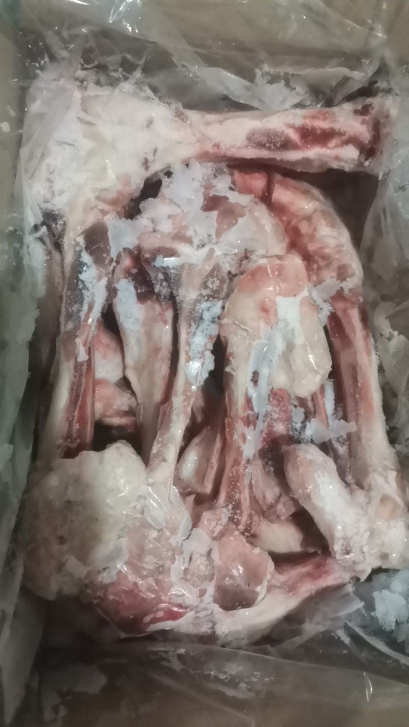 母猪腿骨，前腿骨，后腿骨，汤骨，长期生产，供应稳定