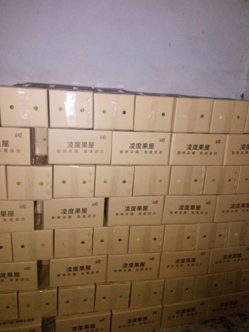【推荐】湖北红安县世纪红大量上市产地种植一手货源价格稳