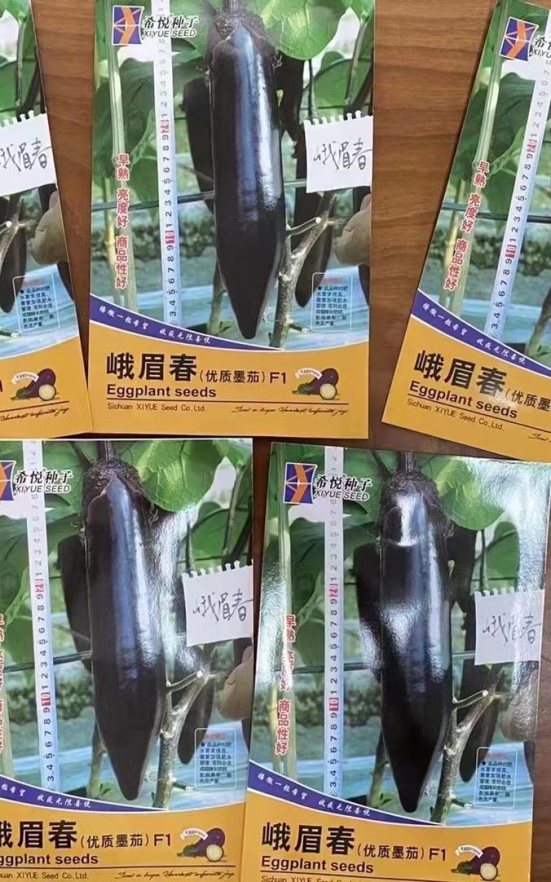 茄子种子峨眉春品质型烧烤茄果型靓颜色黑亮产量高抗病强