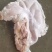 深圳鲜品猪肚，厂家直发，品质保证，量大从优，视频看货
