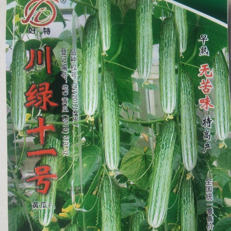 黄瓜种子川绿十一号无苦味节节有瓜长25厘米青绿白高产