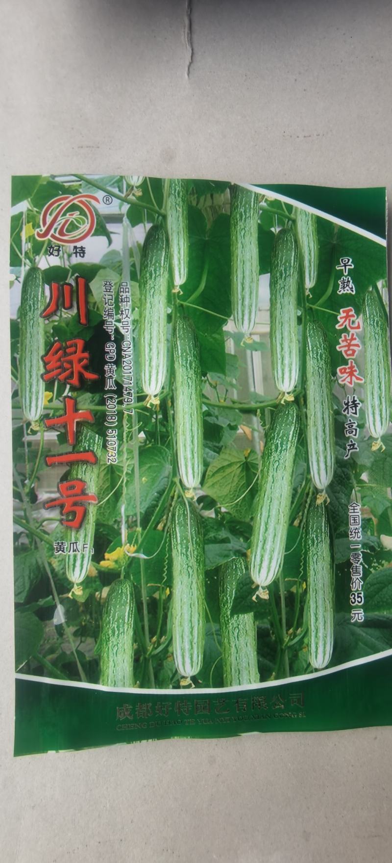 黄瓜种子川绿十一号无苦味节节有瓜长25厘米青绿白高产