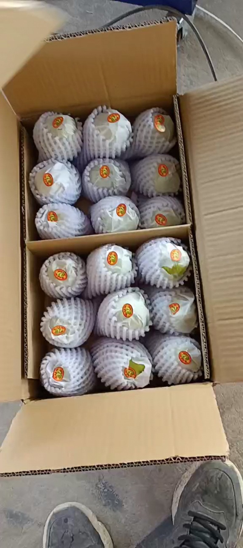 山西运城龙居红香酥，香梨货源充足质好价优