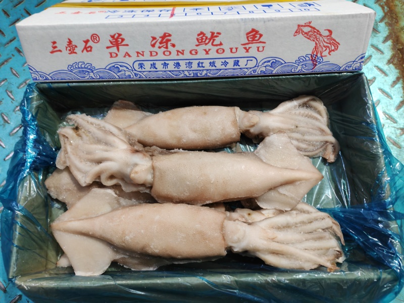 国产单冻鱿鱼单冻鱿鱼5条装200-300规格