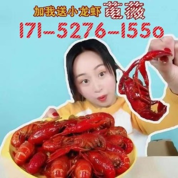 莱克小龙虾15元包邮。麻辣蒜香十三香700g*3盒加热即