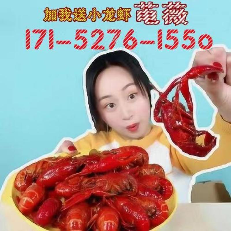 莱克小龙虾15元包邮。麻辣蒜香十三香700g*3盒加热即