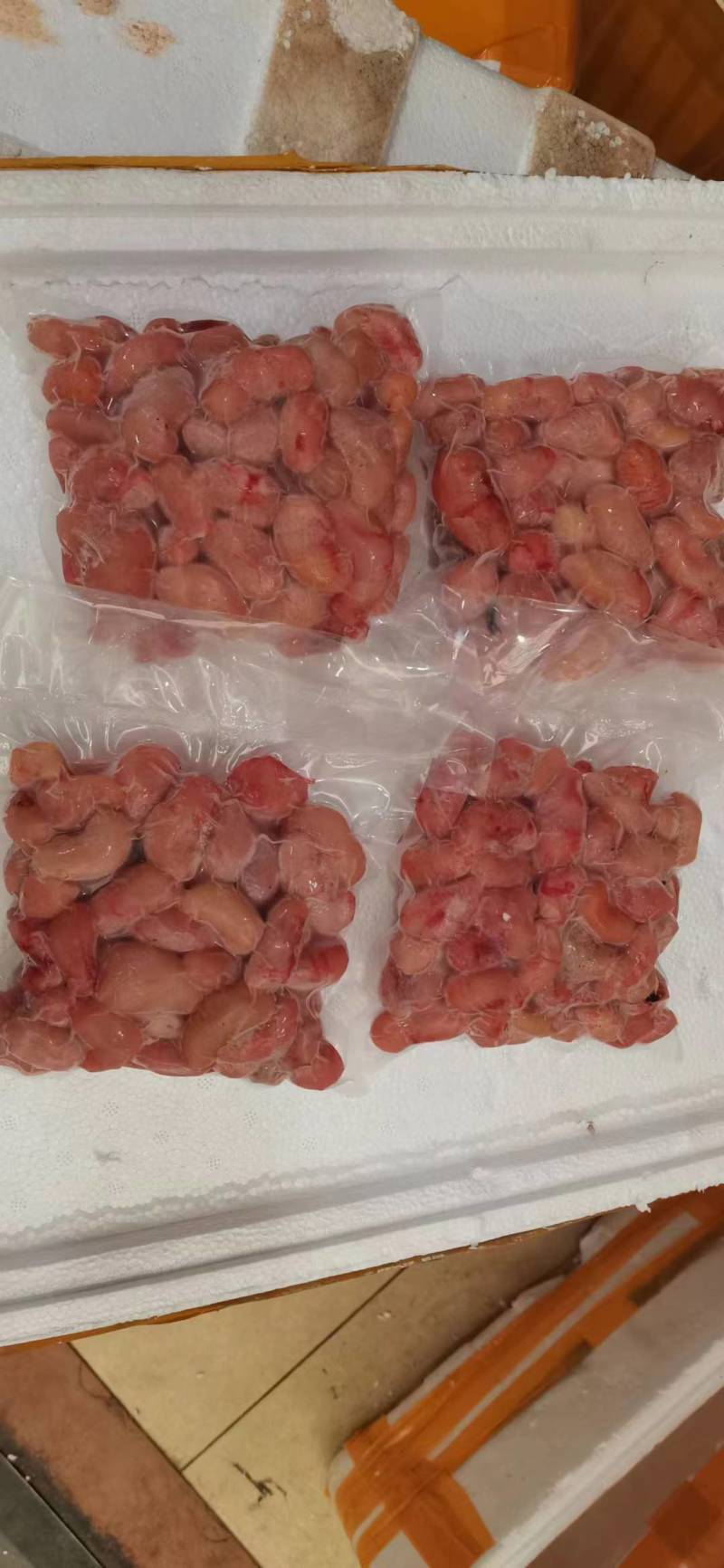 鸡籽（一手货源）鸡腰子公鸡蛋产品大中小规格齐全