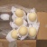 皇冠梨电商供应市场精品连锁商超供应产地一手货源