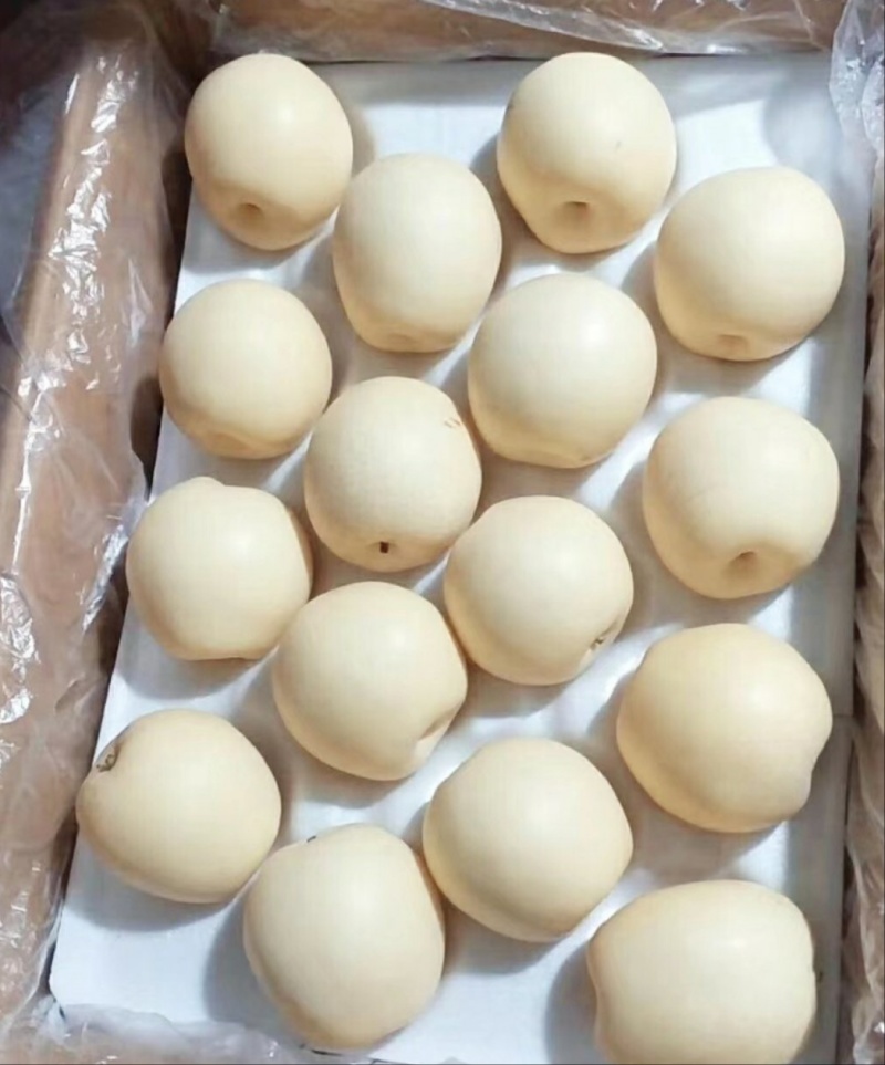 皇冠梨电商供应市场精品连锁商超供应产地一手货源