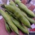 大白蚕豆，小蚕豆