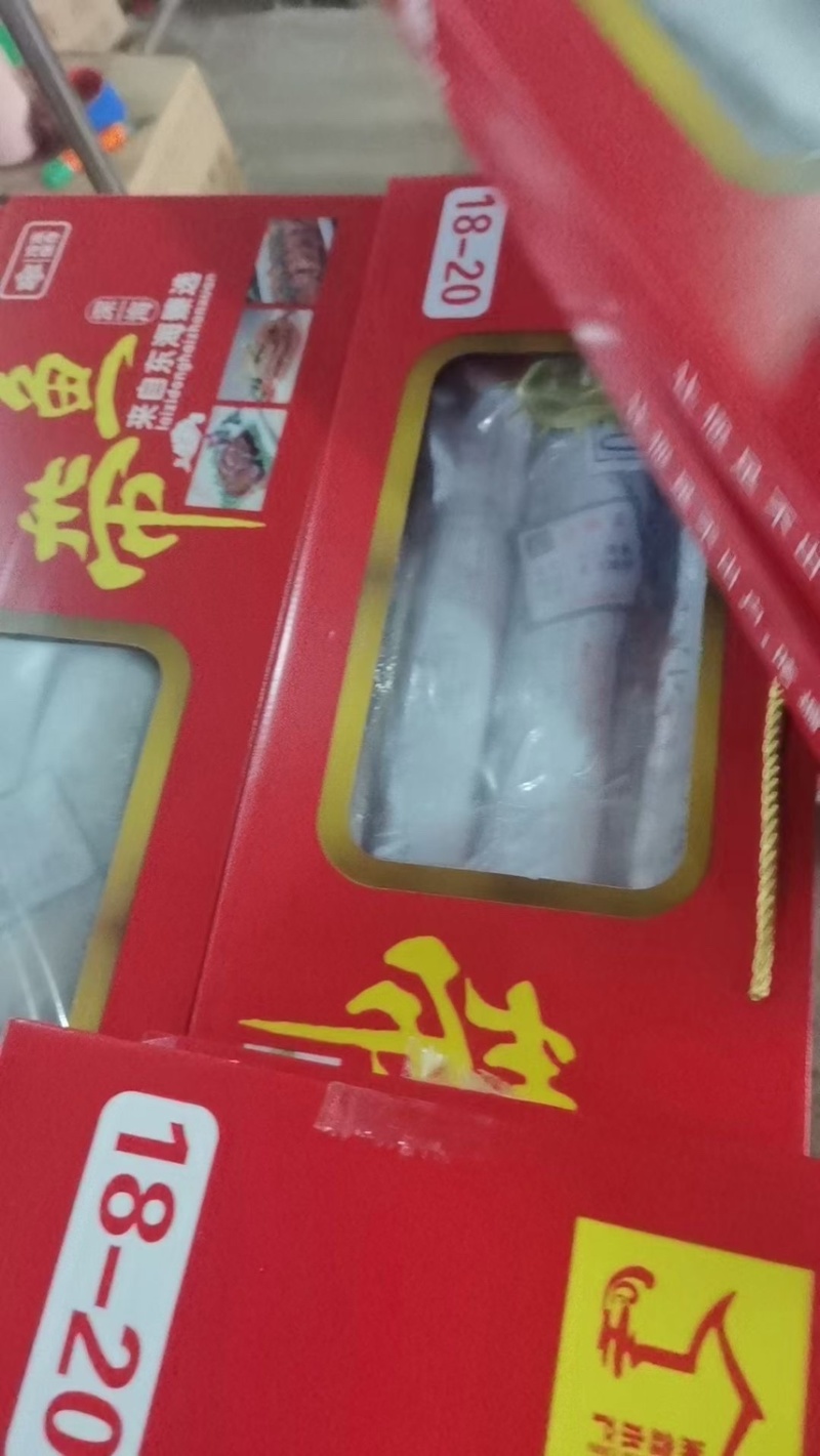 舟山小眼睛礼盒带鱼，价格优惠，精品带鱼。