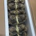 阳澄湖大闸蟹九指残蟹特大精品