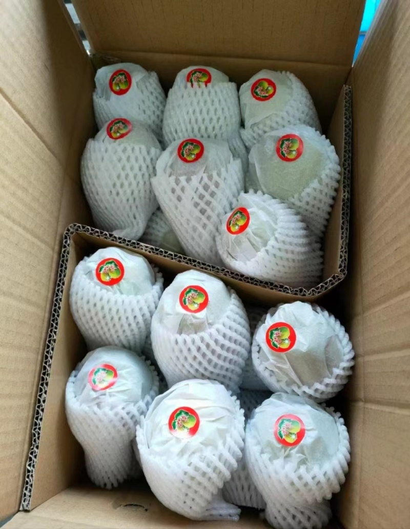 红香酥梨电商供应连锁商超供应市场精品产地一手货源