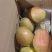 红香酥梨电商供应连锁商超供应市场精品产地一手货源