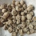 藕节，无硫一手货源，保质保量，批发各种中药材欢迎订购