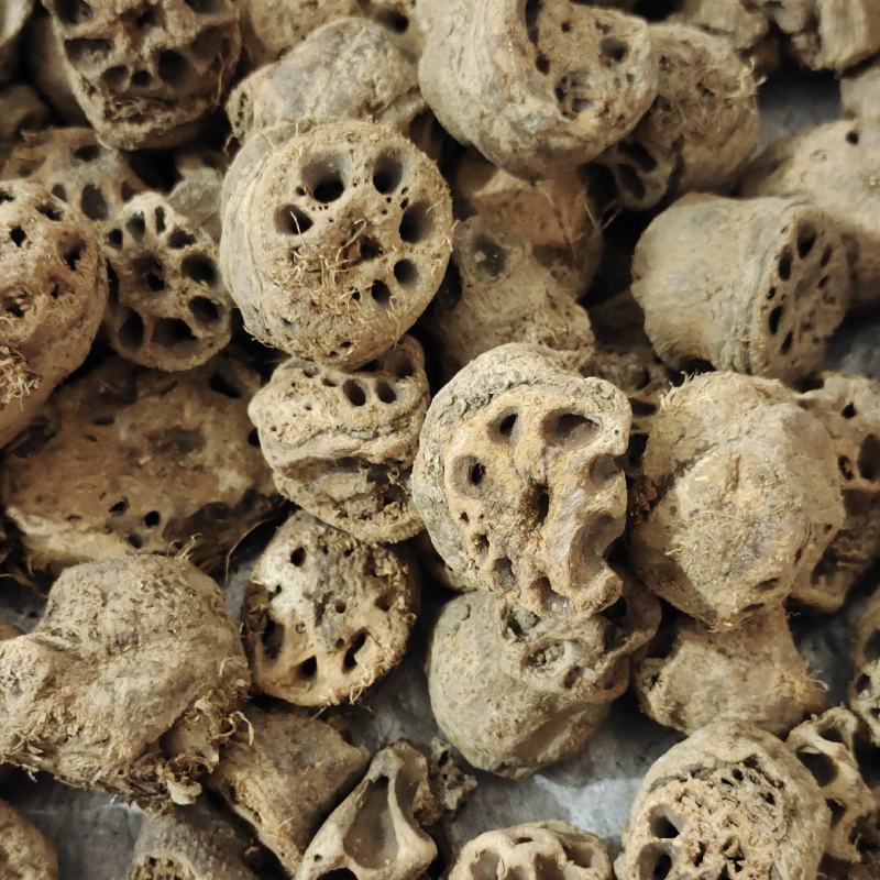 藕节，无硫一手货源，保质保量，批发各种中药材欢迎订购