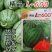 L600高档礼品西瓜种子超甜早熟小型耐裂2K薄皮红瓤奶油