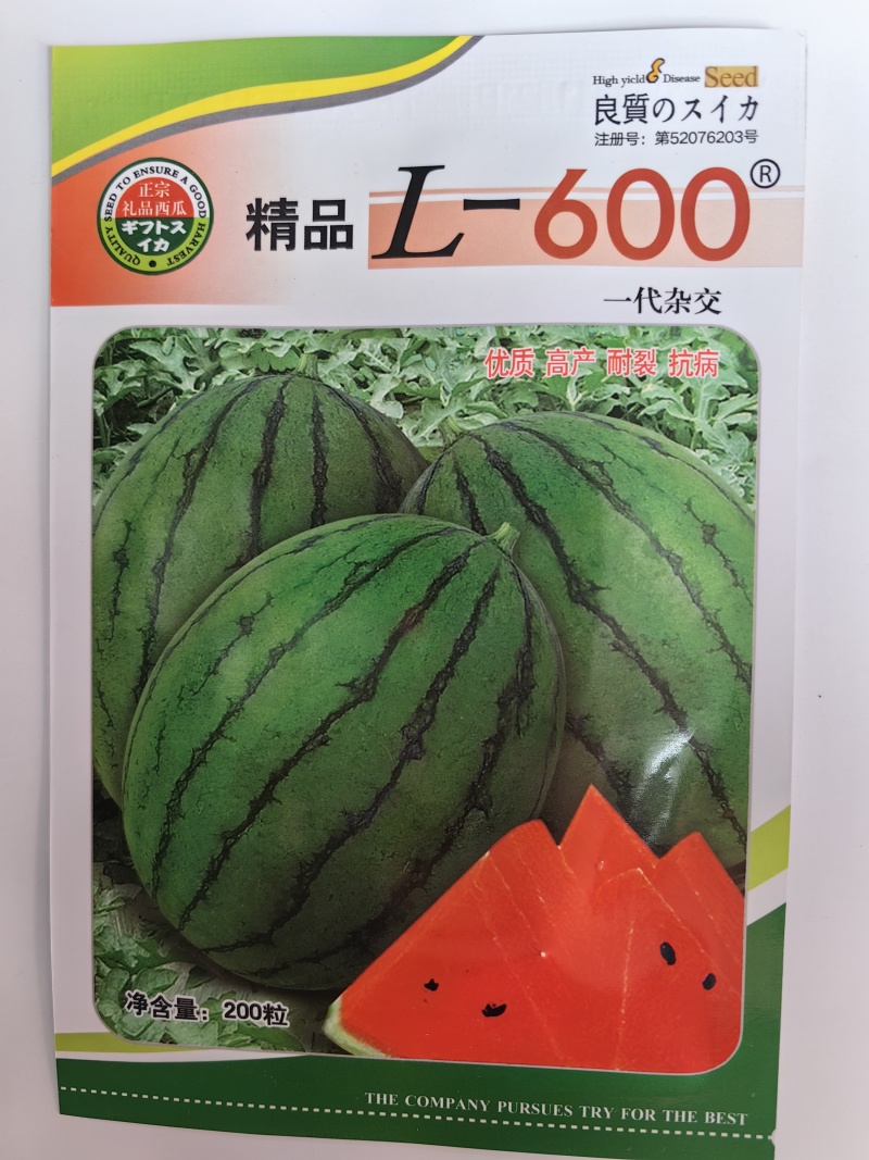 L600高档礼品西瓜种子超甜早熟小型耐裂2K薄皮红瓤奶油
