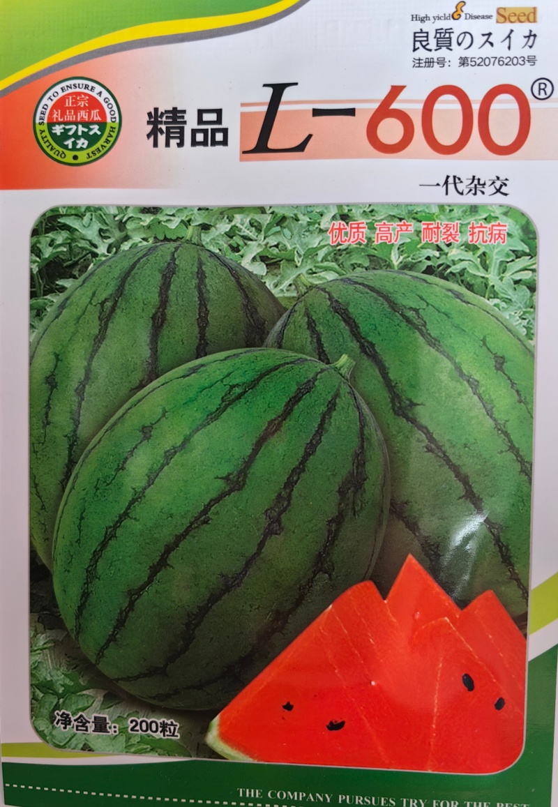 L600高档礼品西瓜种子超甜早熟小型耐裂2K薄皮红瓤奶油