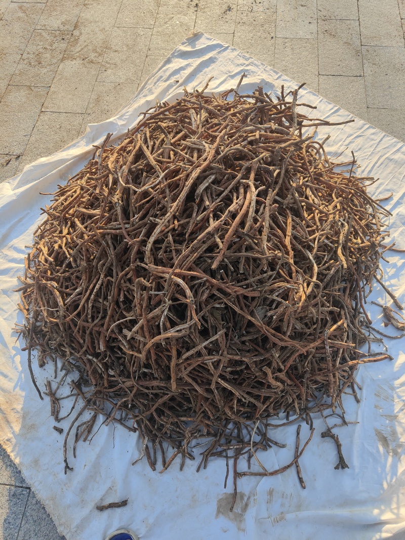 丹皮牡丹皮无硫丹皮各种规格红条牡丹黑通牡丹须子