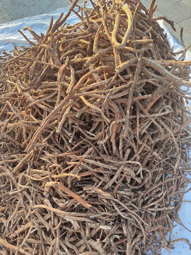 丹皮牡丹皮无硫丹皮各种规格红条牡丹黑通牡丹须子