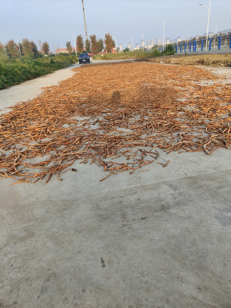 丹皮牡丹皮无硫丹皮各种规格红条牡丹黑通牡丹须子