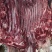 【驴肉】带皮驴肉现杀现发可视频看货品质保证欢迎咨询