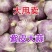 2025年山东金乡大蒜产地直发对接电商超市市场等