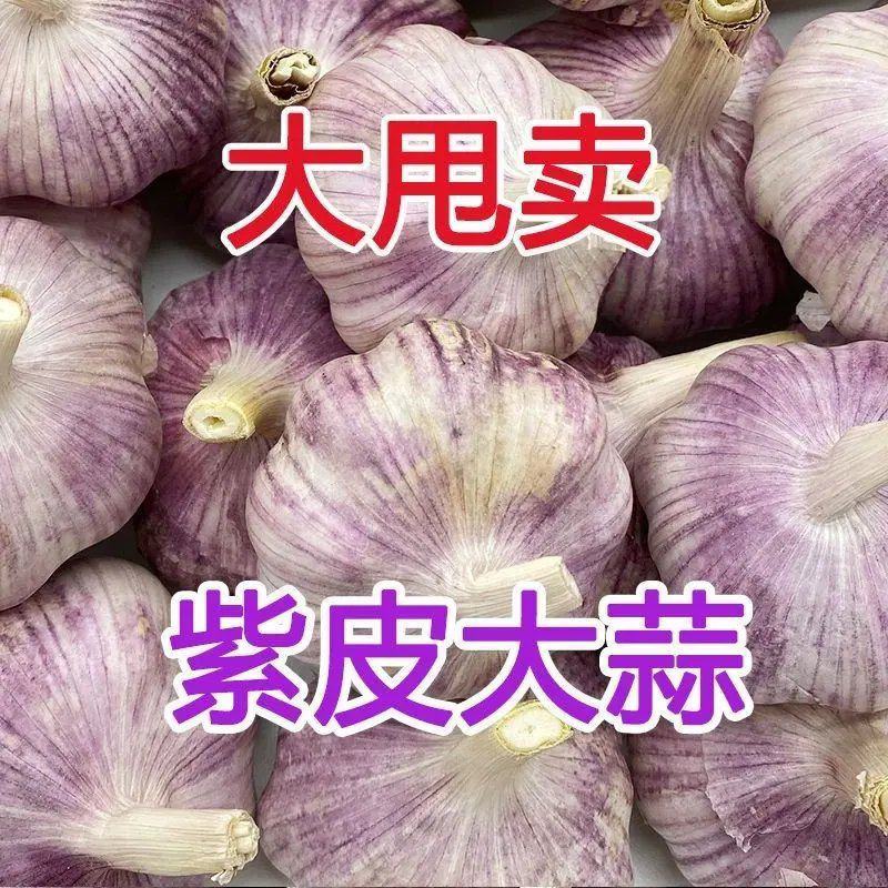 2025年山东金乡大蒜产地直发对接电商超市市场等