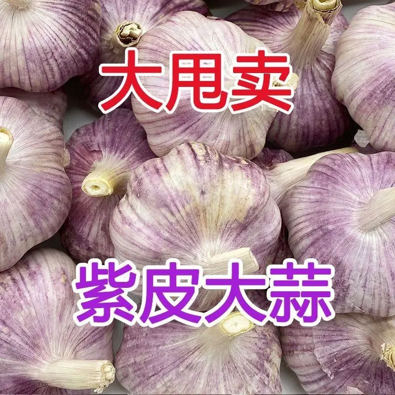 2025年山东金乡大蒜产地直发对接电商超市市场等