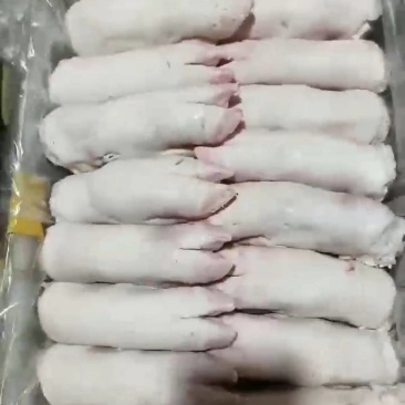 猪蹄