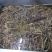 水发黑千鸭肠
