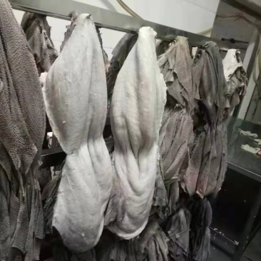 牛百叶，解冻后1斤出1斤，零水份