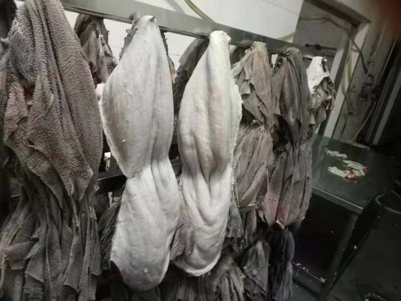 牛百叶，解冻后1斤出1斤，零水份
