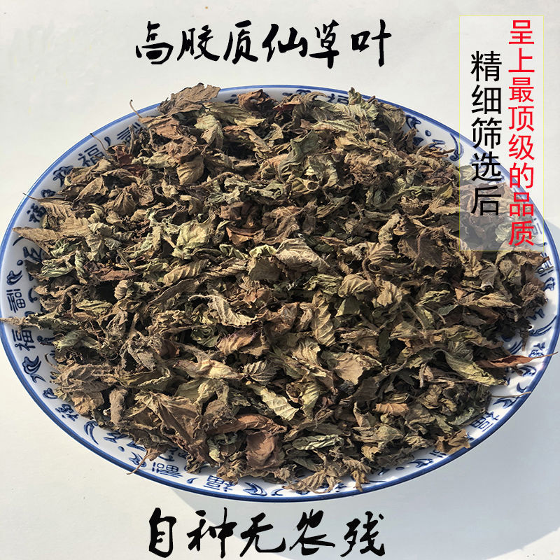 烧仙草凉粉草仙草干烧仙草材料新鲜草干全套配料仙草冻黑