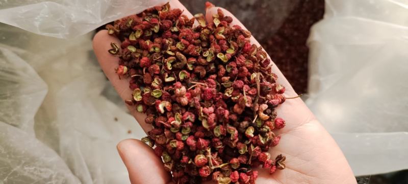 新货广西大红袍八角八角纯干货调料大料八角无硫磺