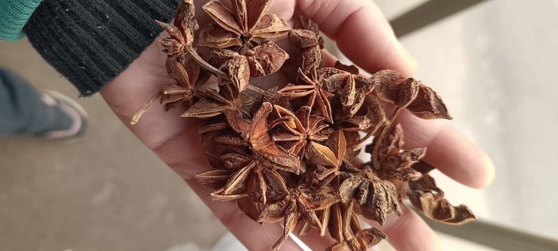 新货广西大红袍八角八角纯干货调料大料八角无硫磺