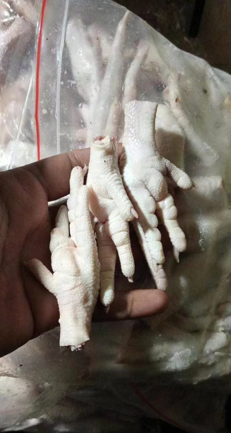 鸡爪，大量现货重30-40克量大从优欢迎电话联系