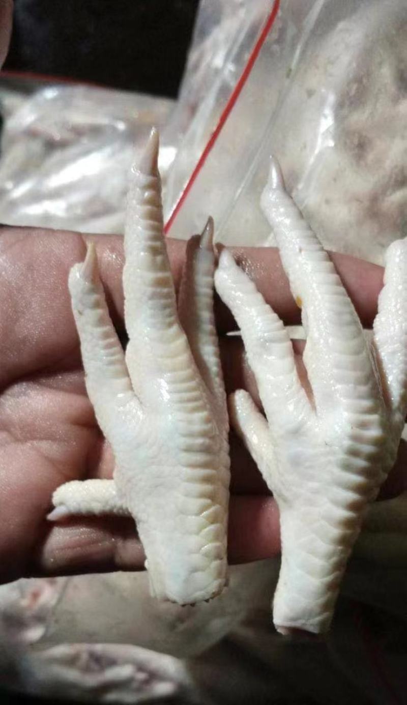 鸡爪，大量现货重30-40克量大从优欢迎电话联系