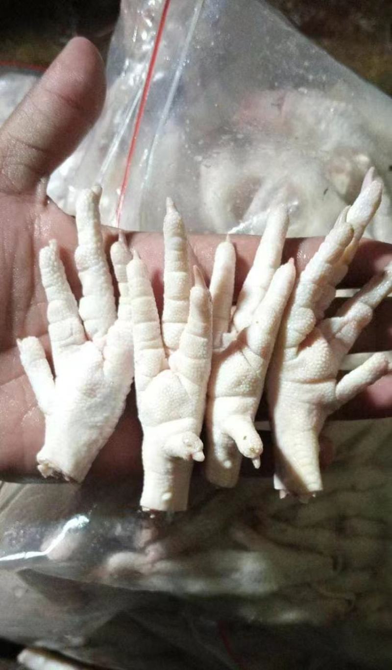 鸡爪，大量现货重30-40克量大从优欢迎电话联系
