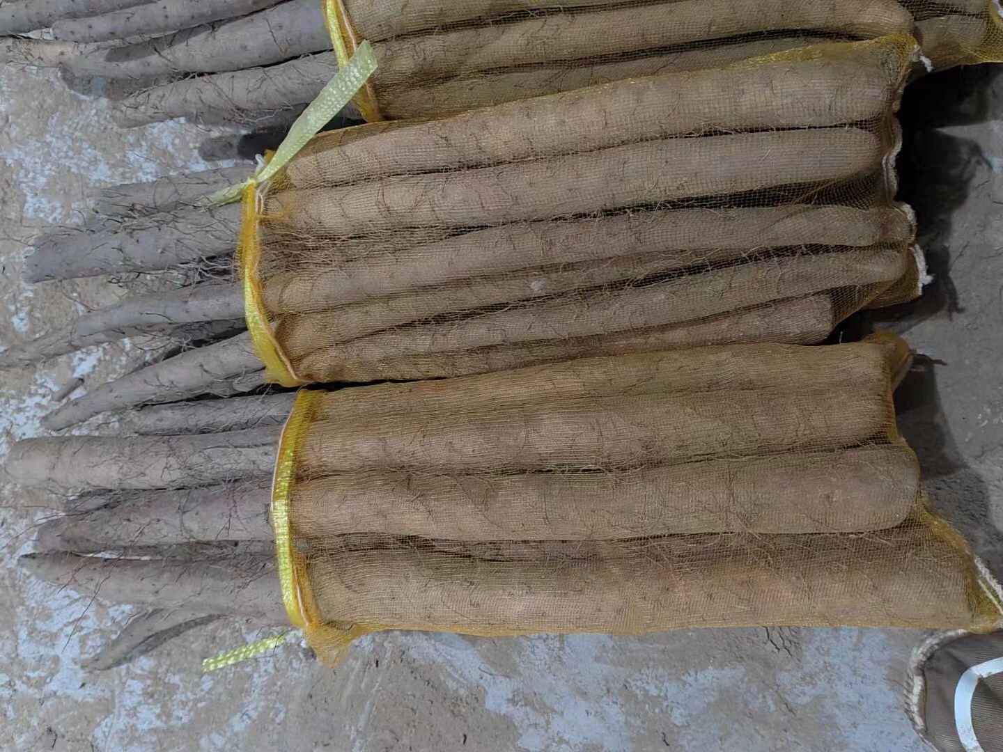 市场上的白玉山药产品展示