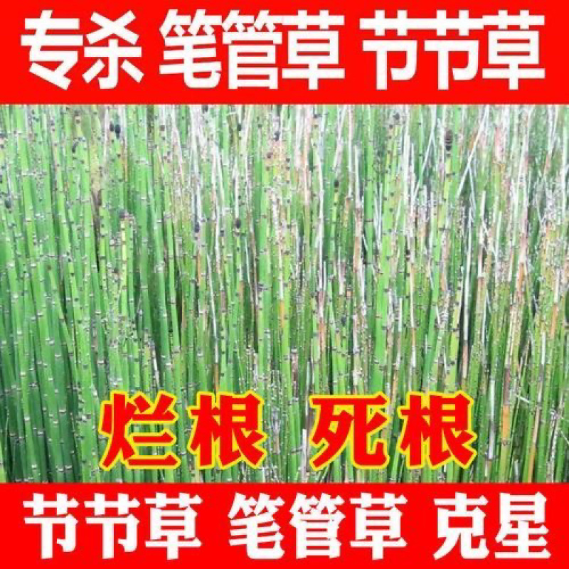 56%二甲四氯2甲4氯钠阔叶杂草及莎草科杂草草坪除