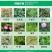 56%二甲四氯2甲4氯钠阔叶杂草及莎草科杂草草坪除