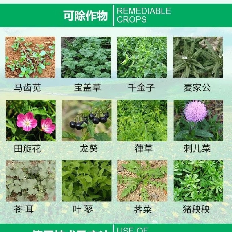 20%草铵膦强力除草剂烂根剂草胺磷果园杂草一扫光草胺磷